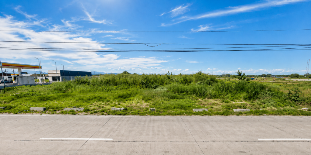 Bacolor Lot — photo 2