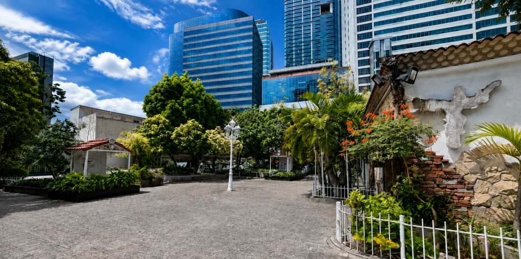 C-5, Libis Property — photo 12