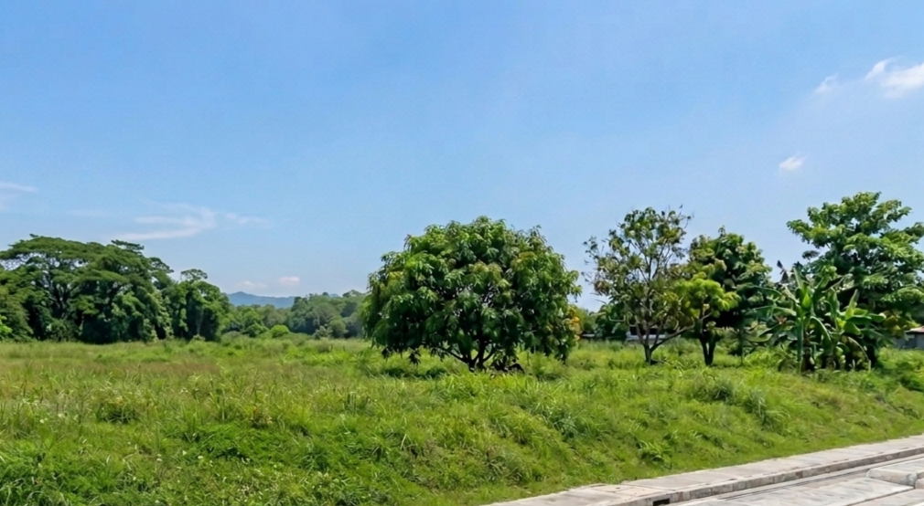 Cebu