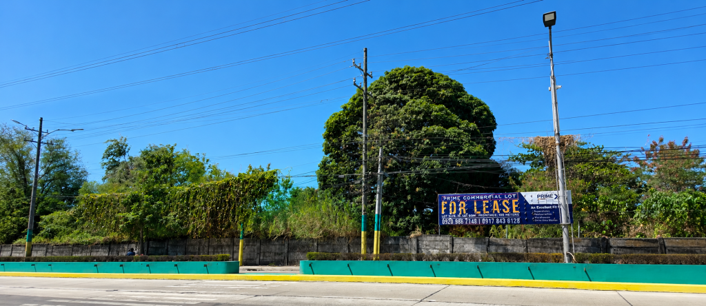 San Agustin Lot — photo 3