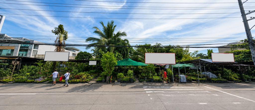 San Fernando Lot 1 — photo 3