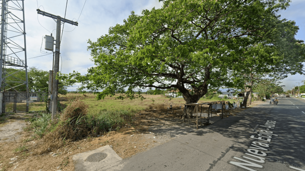 Bangad Lot — photo 2