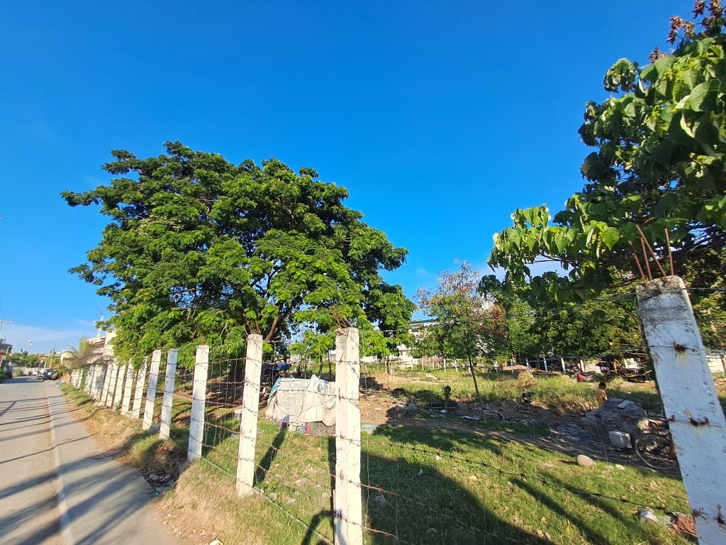 Zamboanga Lot — photo 2