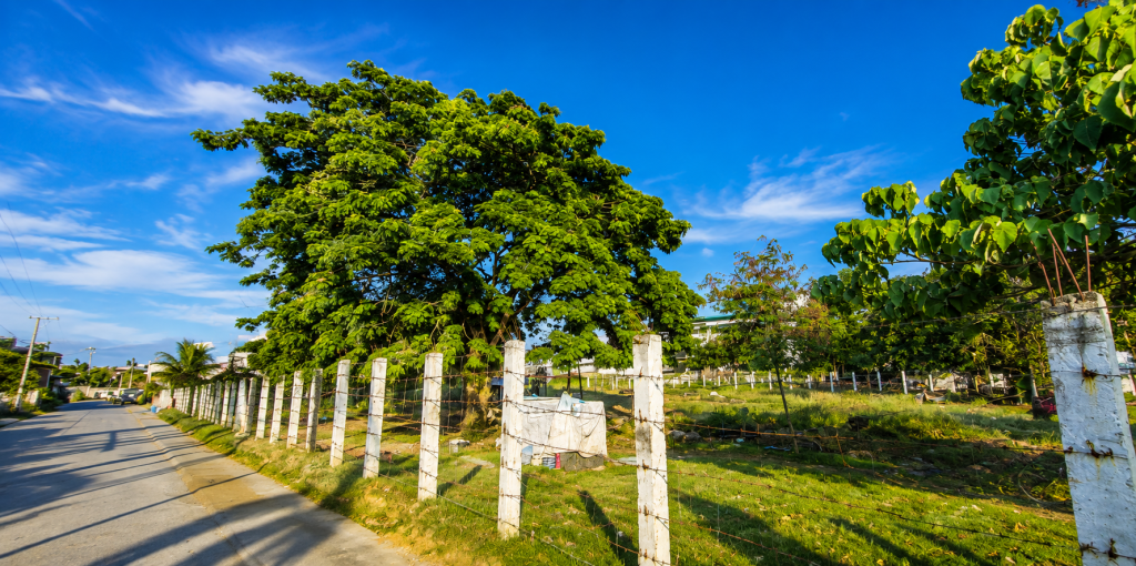 Zamboanga Lot — photo 3