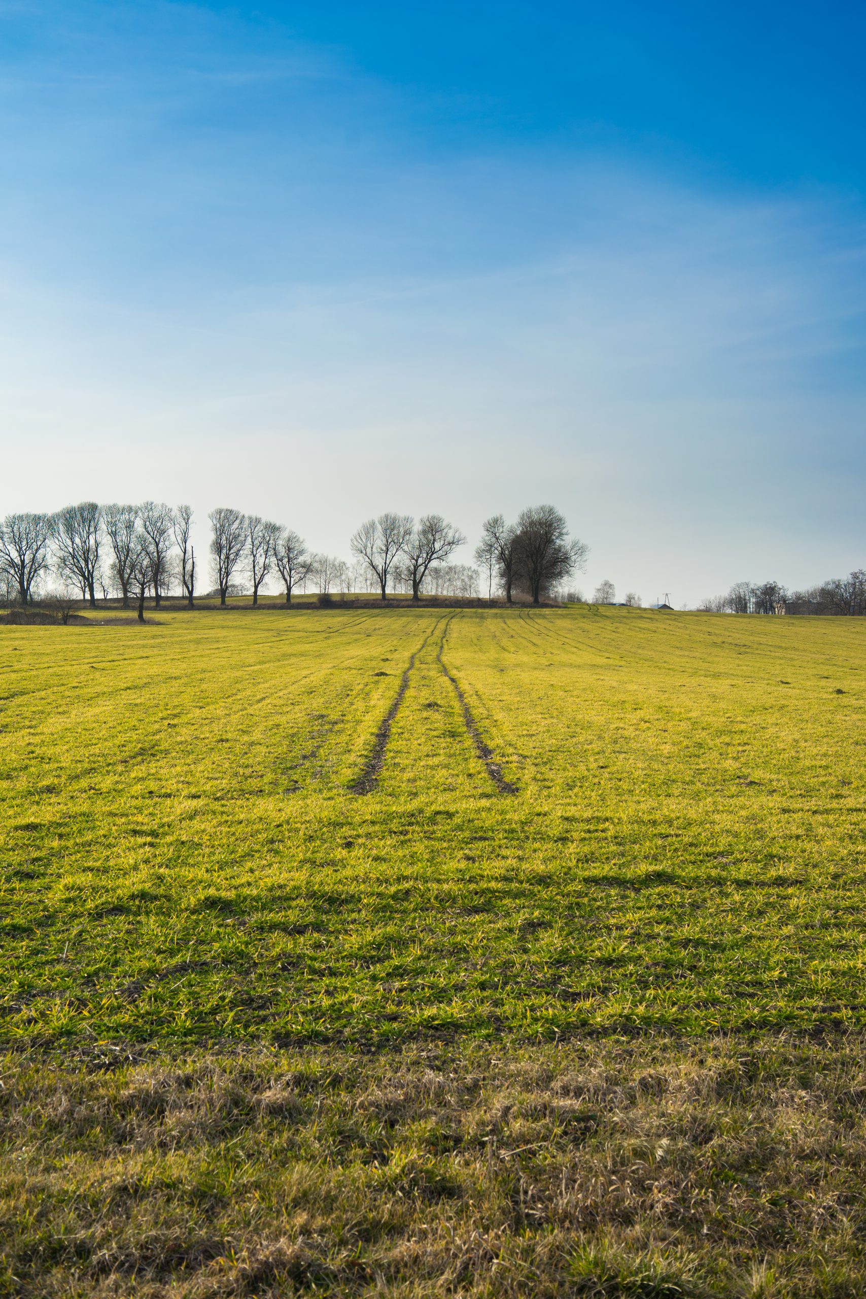 Commercial lots for lease in Cavite