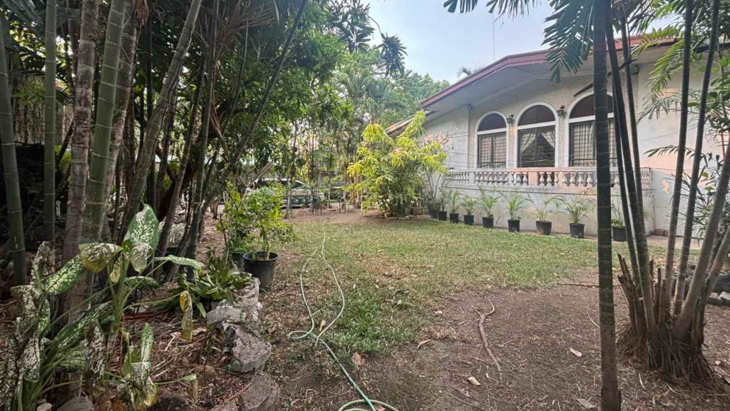 Hemady Property — photo 3