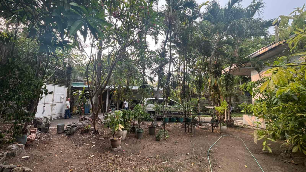 Hemady Property — photo 4