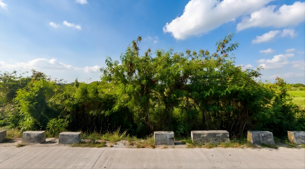 Lubao Lot — photo 2