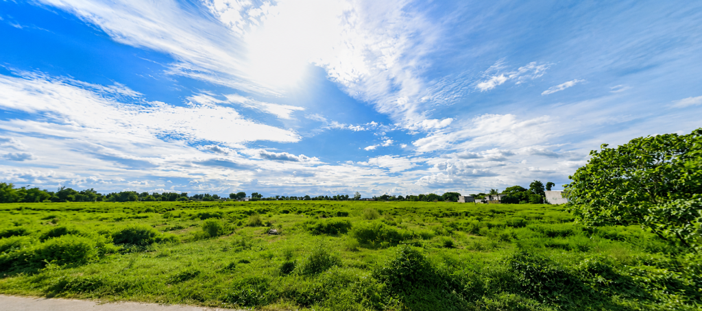 Alvindia Herona Lot 1 — photo 2