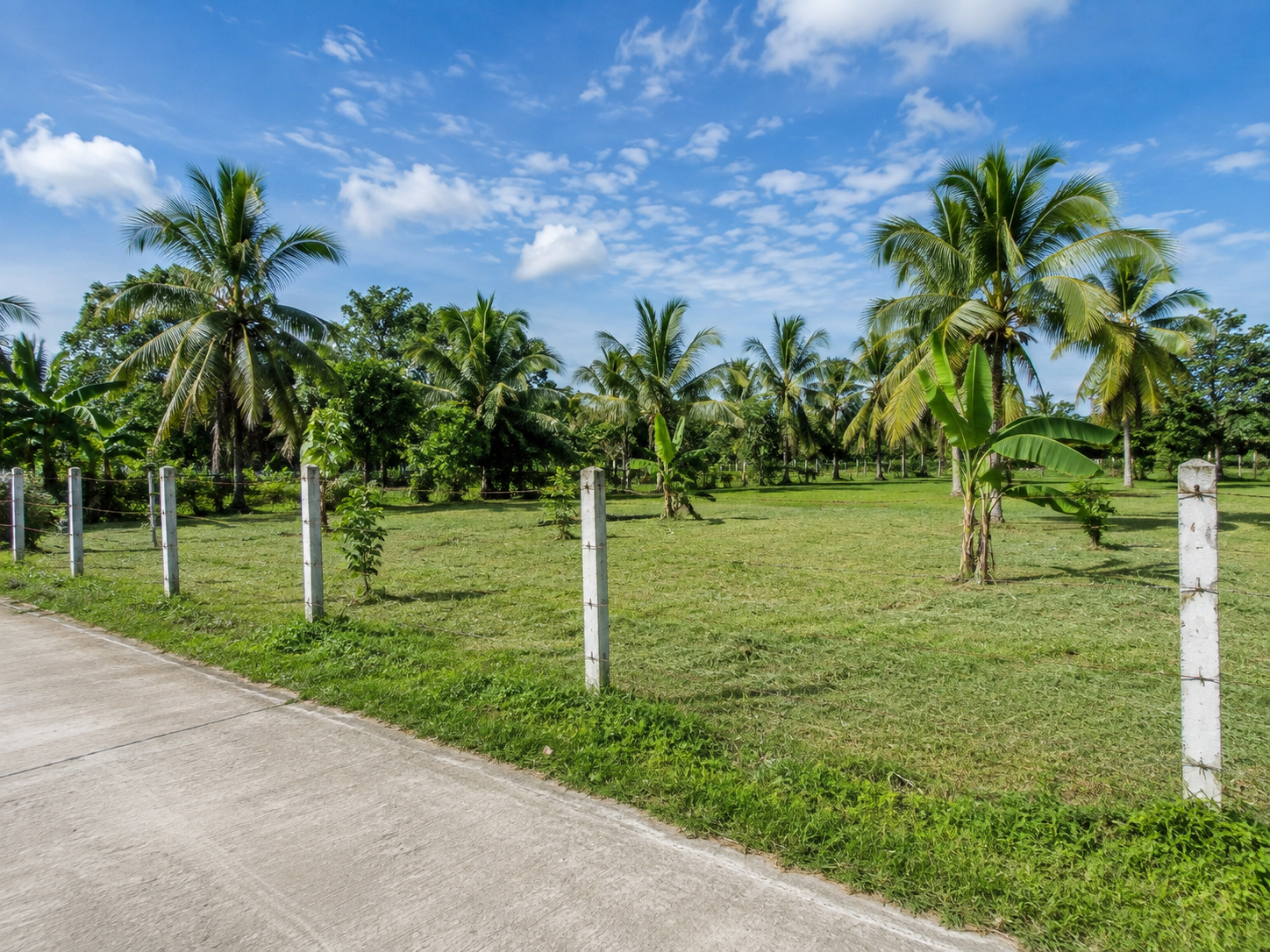 Commercial lots for lease in Cavite