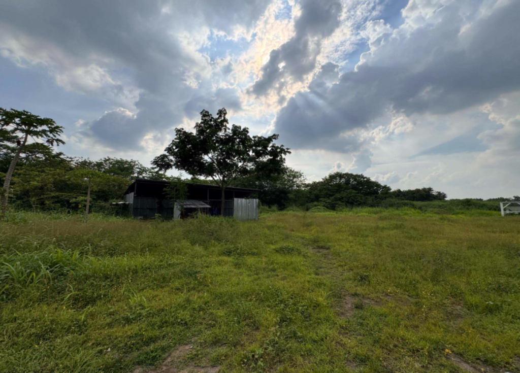 Silangan Lot — photo 2