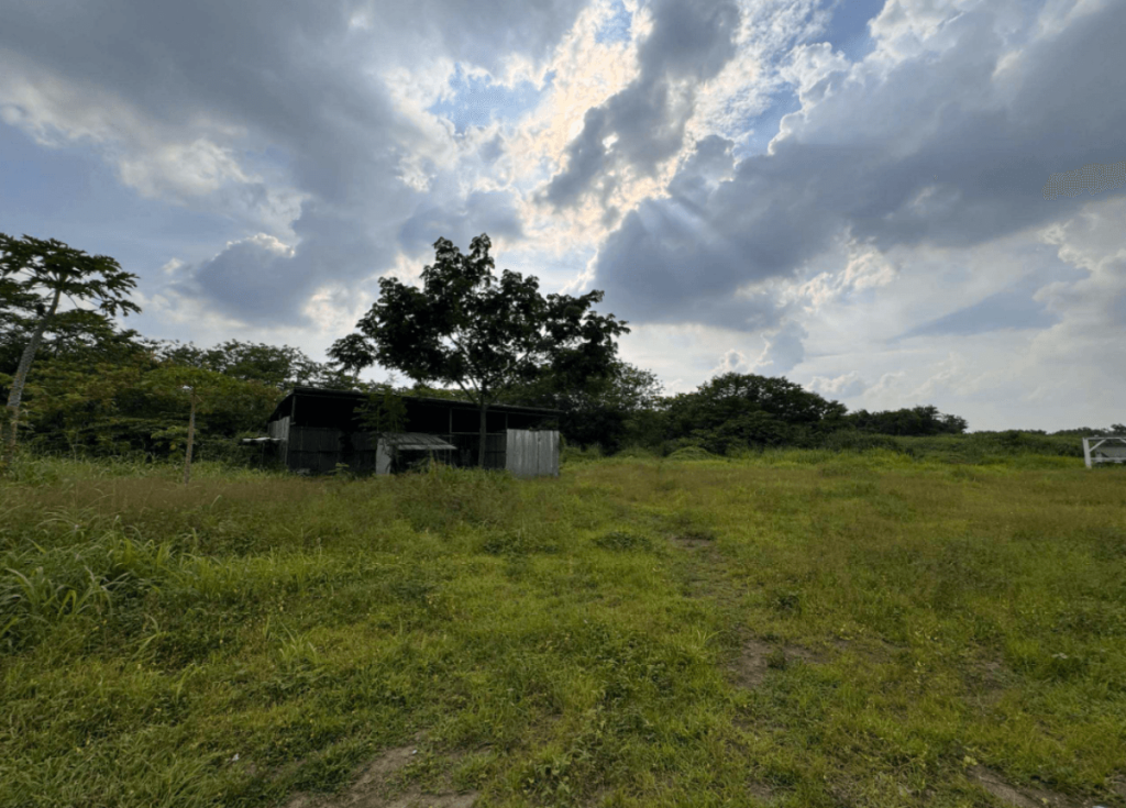 Silangan Lot — photo 2