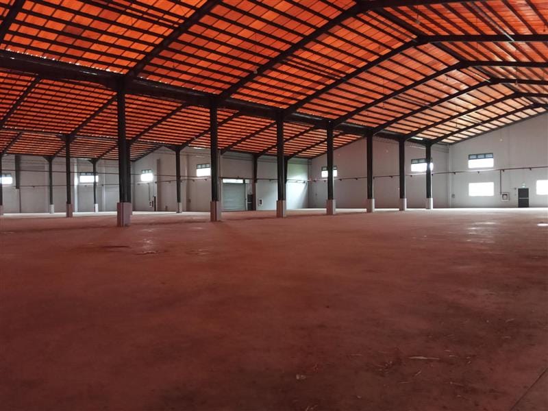 Golden Gate Warehouse — photo 4